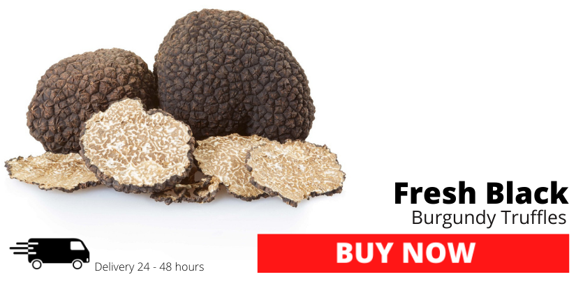 Fresh Black Autumn Truffles Tuber Uncinatum