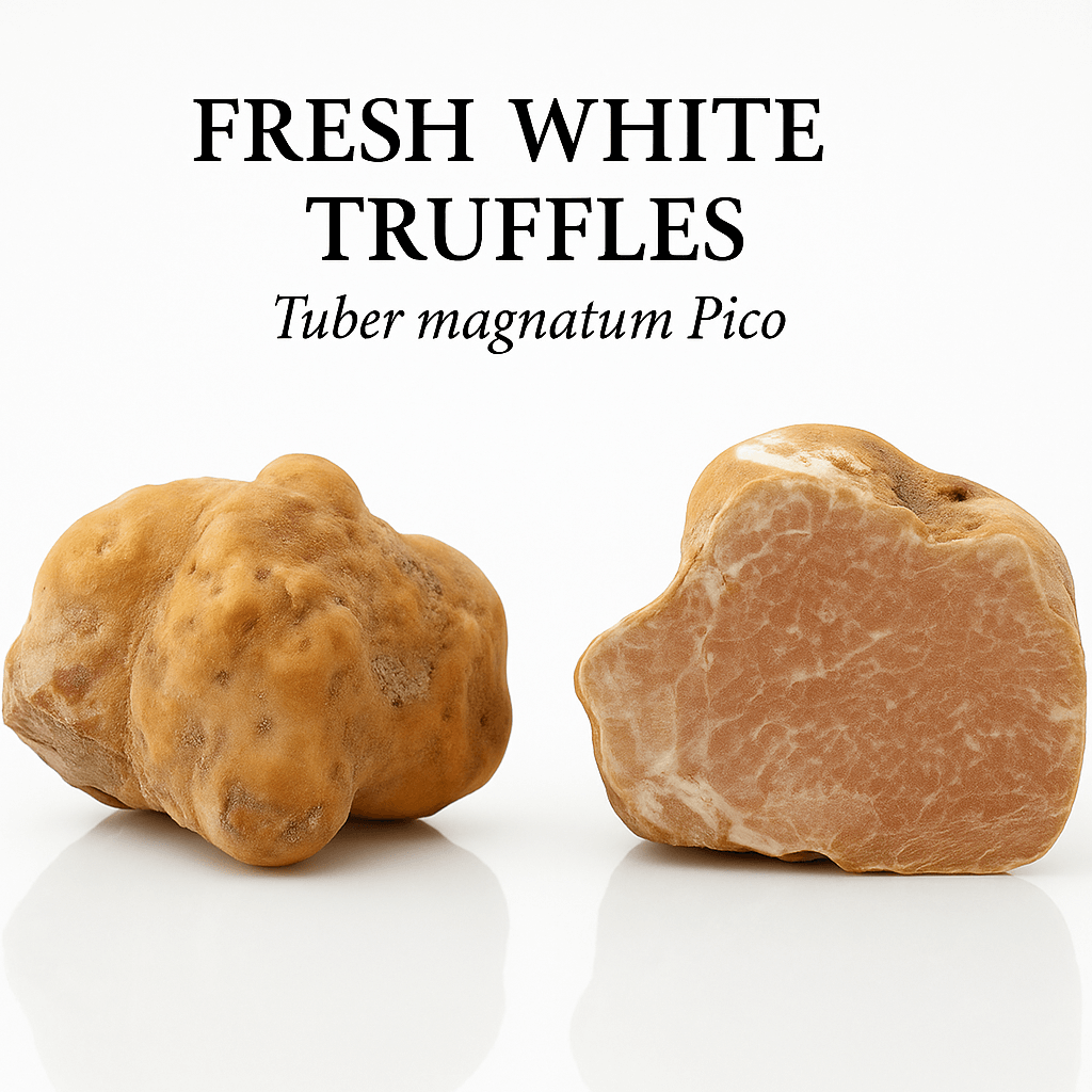 Fresh White Truffles – Tuber Magnatum Pico | Exquisite Gourmet Delicacy