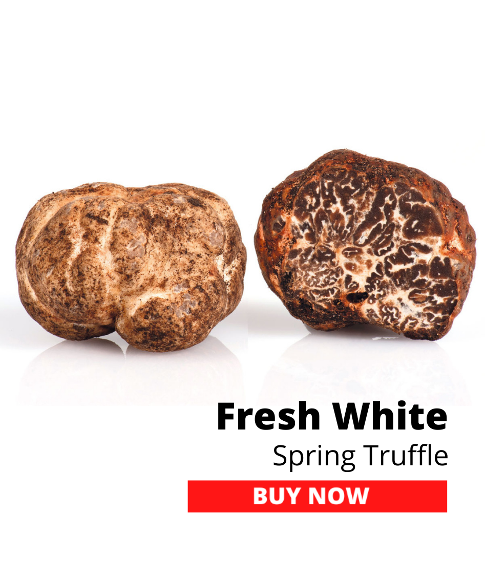 Fresh White Spring Truffles 