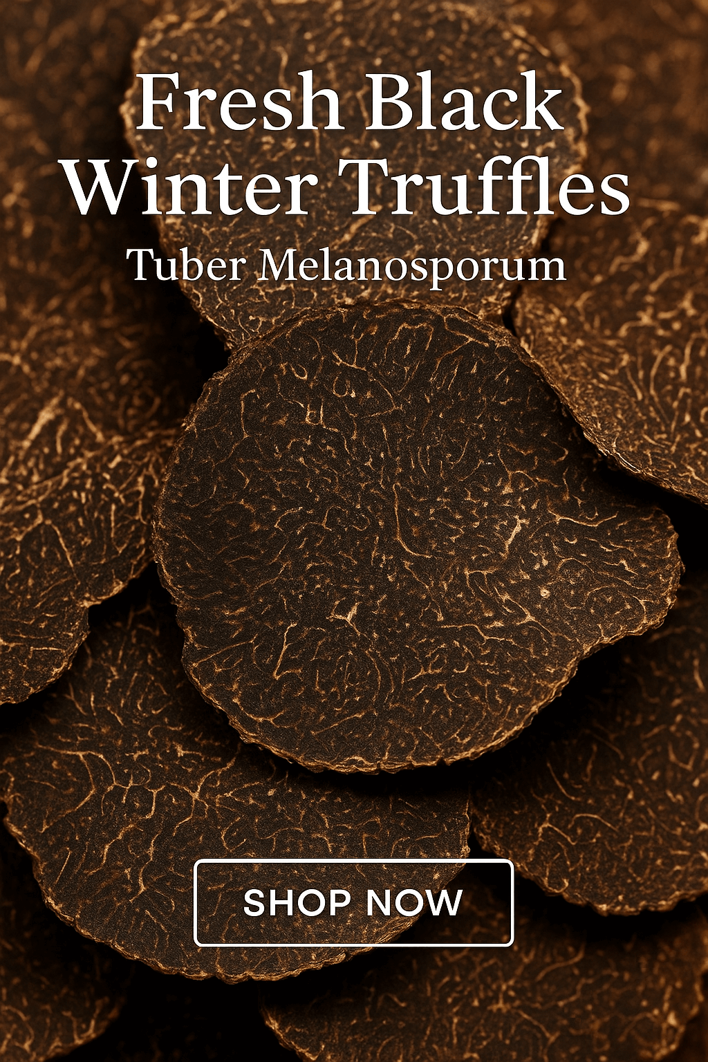 Fresh Black Melanosporum Truffles