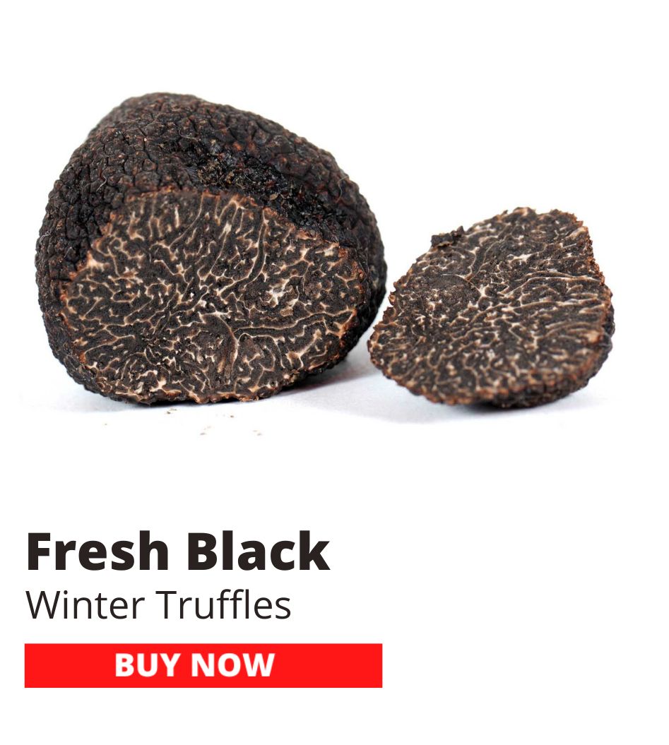 Fresh Black Melanosporum Truffles 