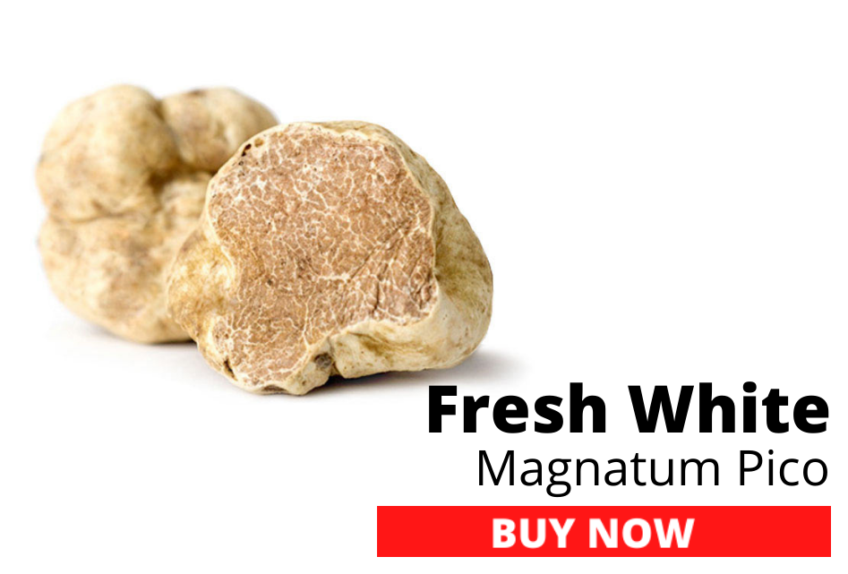 Fresh White Truffles Magnatum Pico