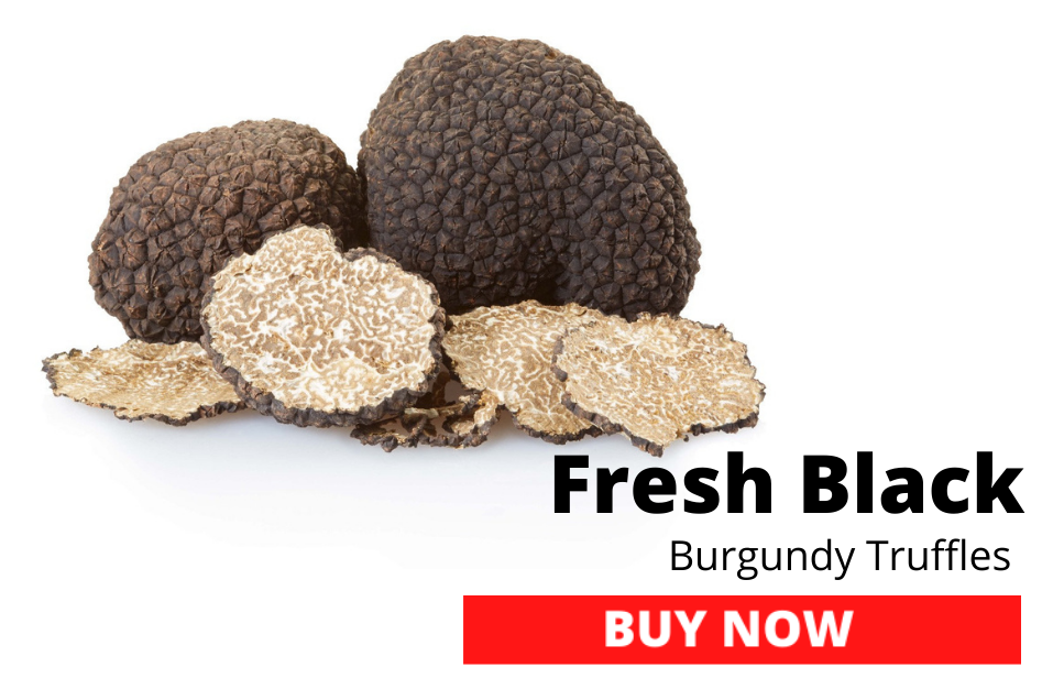 Fresh Black Burgundy Truffles 