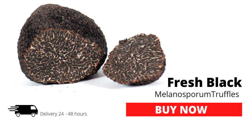 Fresh Black Truffles Melanosporum 